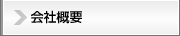 ЊTv