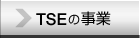 TSE̎